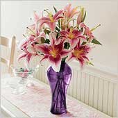 Lily