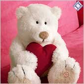 Heartly Bear