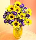 Cheerful Sunflower