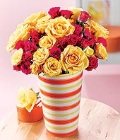 Cheerful Yellow