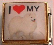 I LOVE MY SAMOYED DOG PUPPY ITALIAN CHARM/CHARMS
