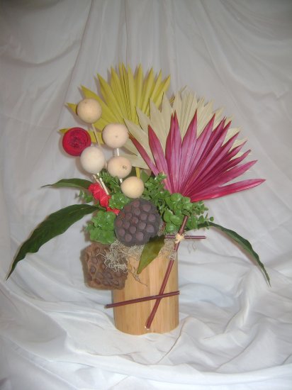Rima Palm Dried