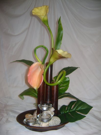 Rima Ikebana