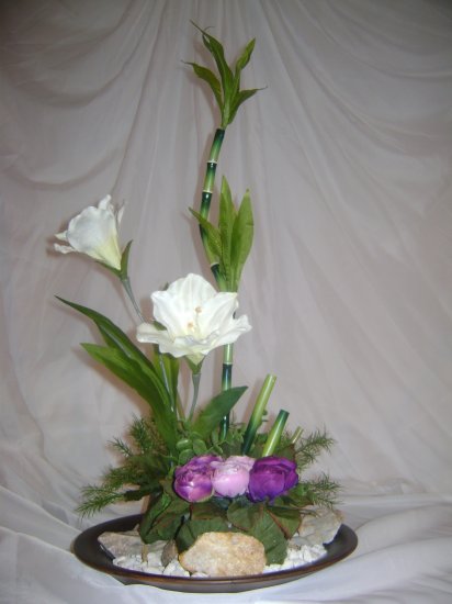 Rima Simplicity