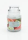 5 oz. Cucumber Melon