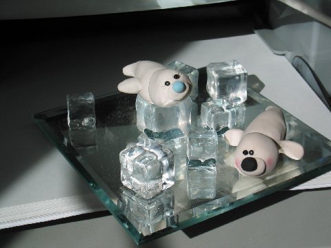 Baby Seals on Ice