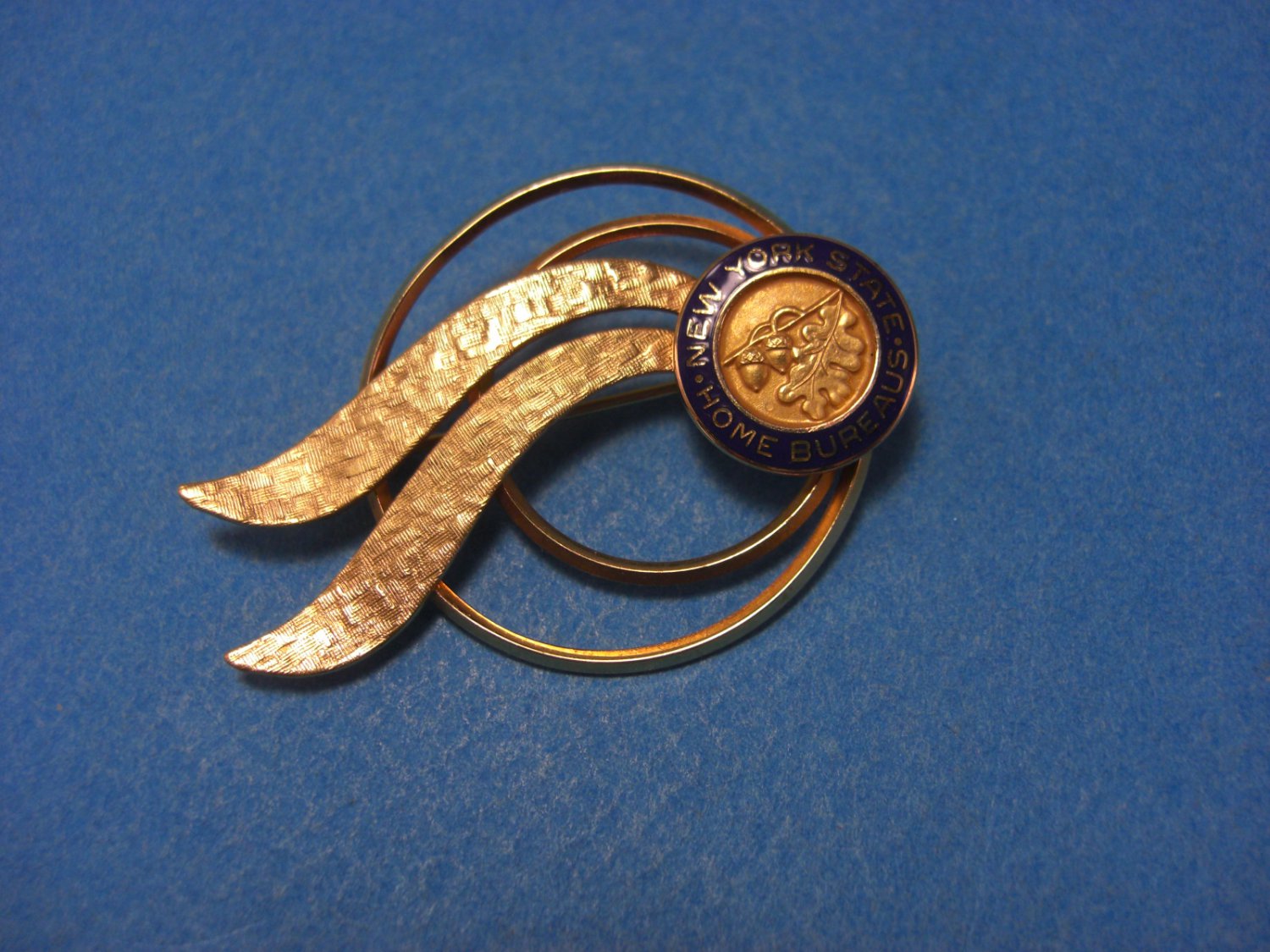 New York State Home Bureaus Government Agencies Lapel Pin