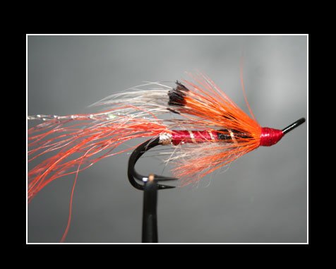 Size 6 Orange Ally Shrimp