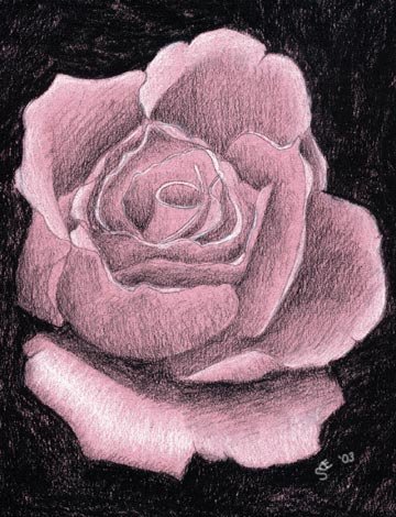 Dusty Rose