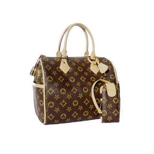 Speedy Fashion Satchel