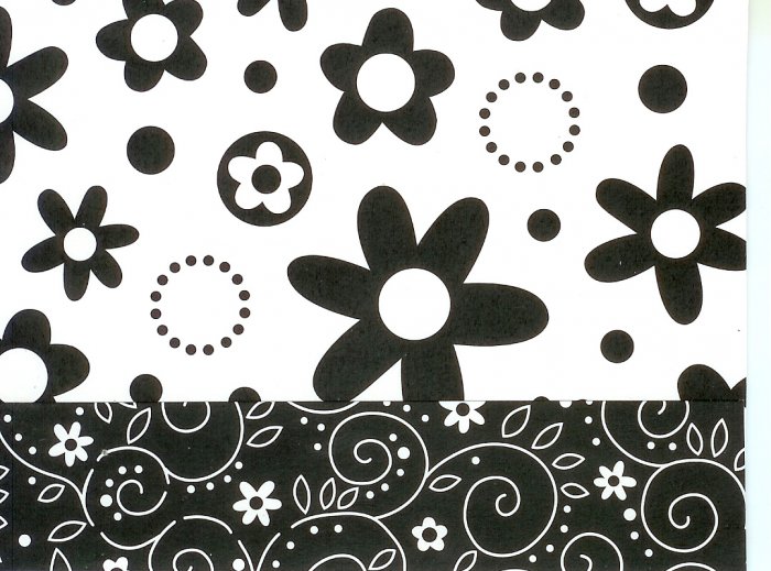 black and white daisy card