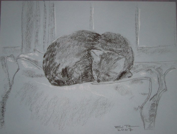 Original Conte Crayon Drawing Cat sleeping by window Art by LJT