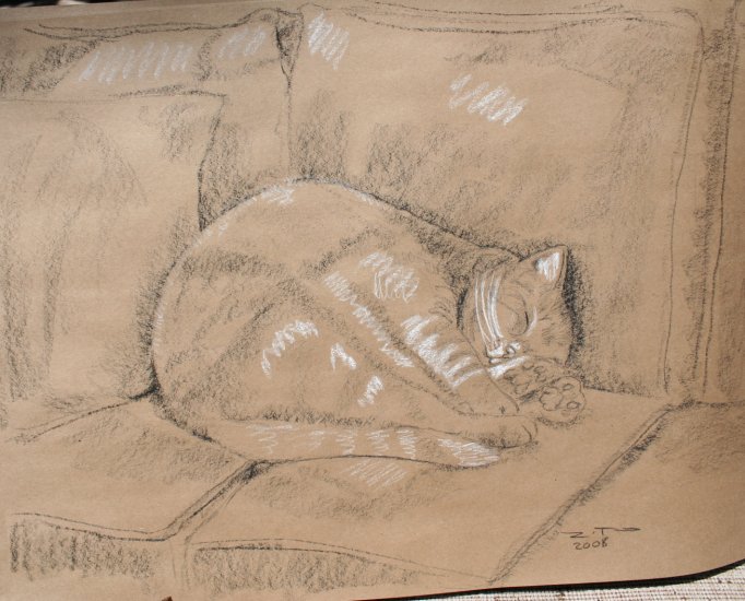 Original Black and White Conte Crayon Drawing Sleeping Cat Curled in Ball Art by LJT