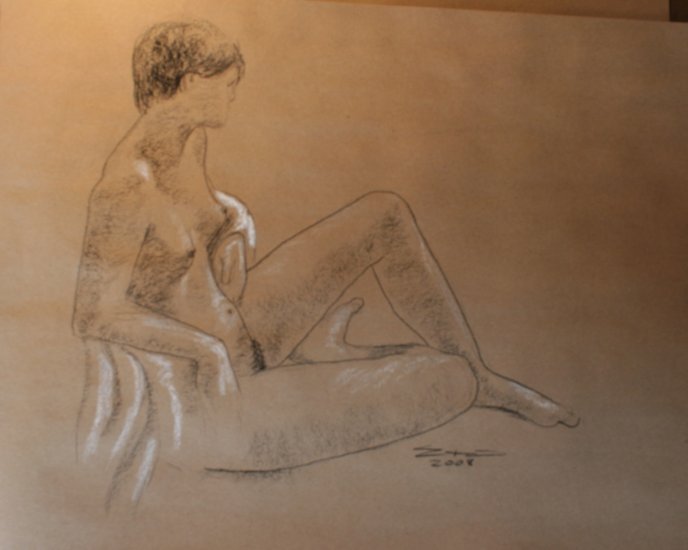 Original Conte Chalk Drawing Nude Female Drape Side view Art by LJT