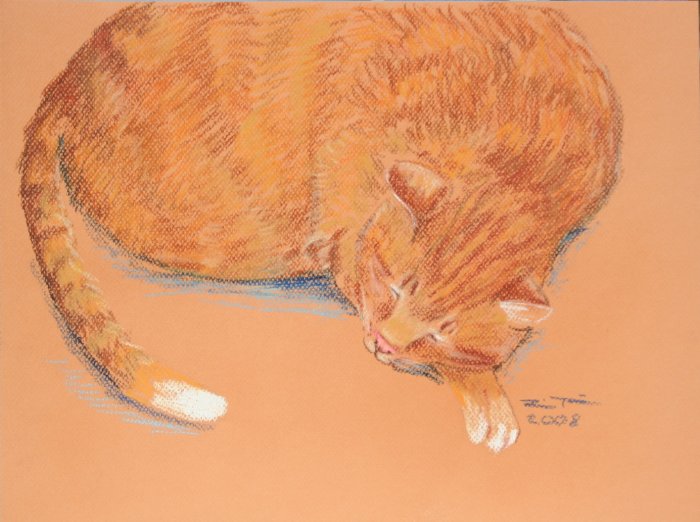 Original Pastel drawing Sleeping Orange Tabby Cat on toned paper Art by LJT