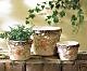 Nesting Flower Pots