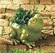 Frog Container Statuary