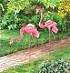 Flamingo Gazing Ball Stakes