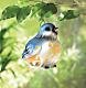 Baby Bluebird Lantern