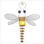 Lantern-dragonfly