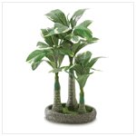 Everlasting Bonsai Palm Tree