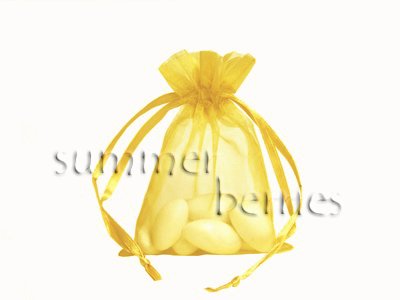 Organza Sachet Favor Bag / Bags - 3x5.5 Yellow (Set of 10)