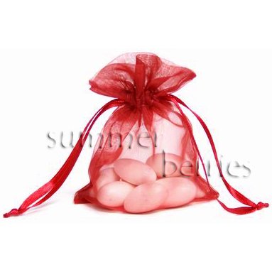 Organza Sachet Favor Bag / Bags - 4x6.5 Red (Set of 10)