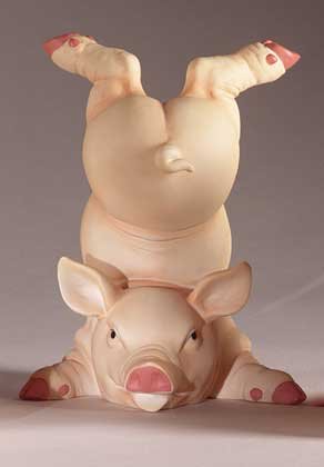 Playful Pig