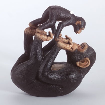 Playful Monkeys