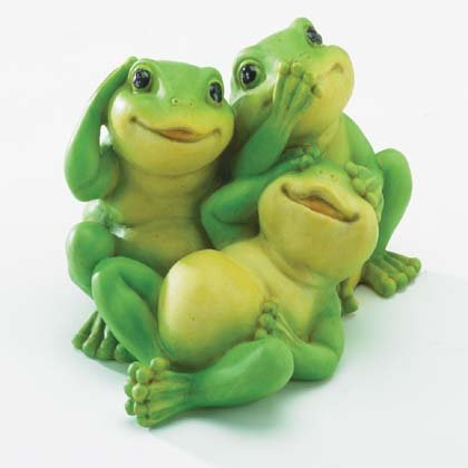 Playful Innocent Frogs