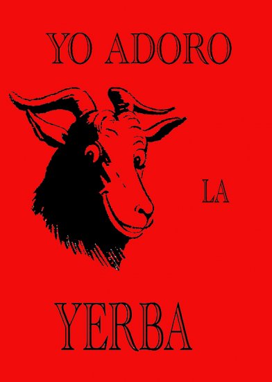 YERBA T-SHIRT