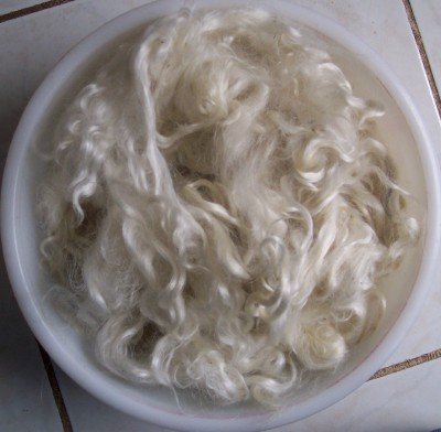 undyed white mohair spinning felting fiber locks