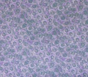 Cotton Quilting Fabric Rowan-Westminster Fabrics
