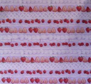Fruit Print Cotton Quilting Fabric