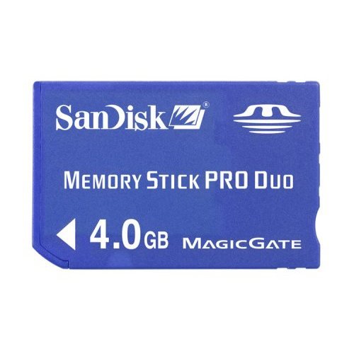 4GB Memory Stick PRO Dou