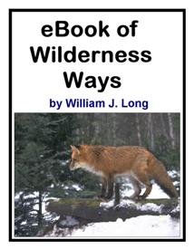 eBook of Wilderness Ways