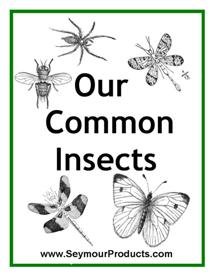 Our Common Insects