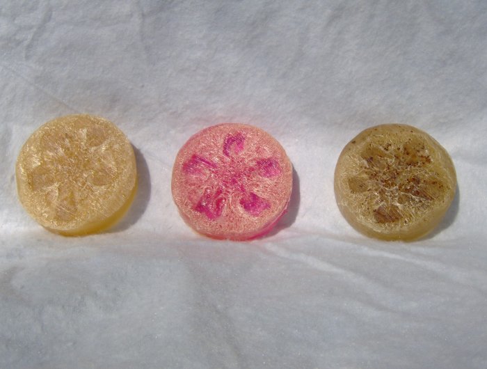 Grapefruit Peppermint Loofah Slice