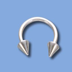 Horseshoe with Spikes (BCSN)