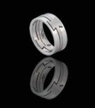 Stainless Steel Three Part Ring (RSS-13)