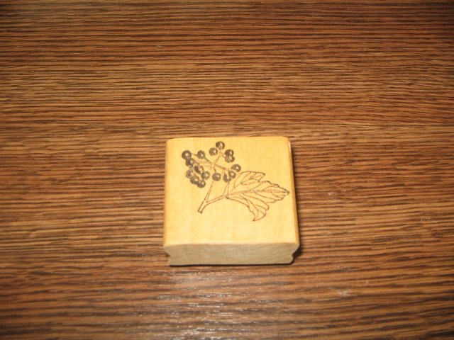 Berries On Branch Wood Mounted Rubber Stamp