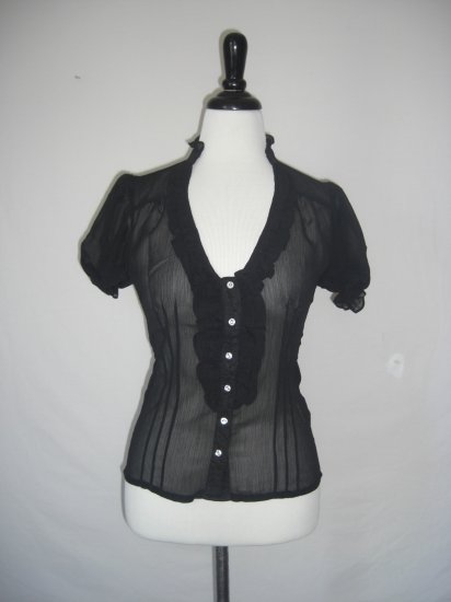 NWT Sheer Ruffle Pintuck Pleat Voile Dress Shirt Top L
