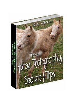Horse Photography by Kris Williams - Resell eBook!