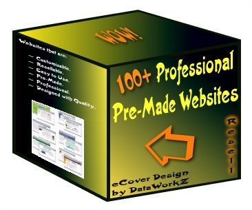 100+ Professional Pre-Made Websites - Resell Templates!