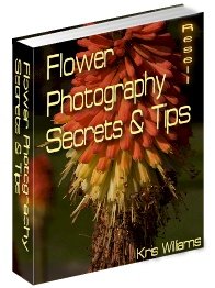 Flower Photography by Kris Williams - Resell eBook!