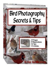 Bird Photography by Kris Williams - Resell eBook!