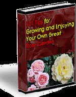 101 Rose Tips - Resell eBook!
