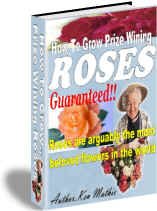 How-to Grow Prize Winning Roses - Resell eBook!