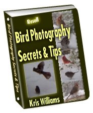 Bird Photography Secrets and Tips by Kris Williams - Resell eBook