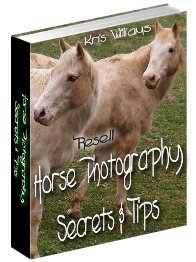 Horse Photography Secrets and Tips by Kris Williams - Resell eBook